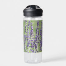Paarse Lavendel Kruid Bloemig