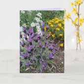 Paarse Lavendel & Madeliefje Bloemige Groeten Kaart (Gele Bloem)
