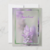 Paarse lavendel | Personaliseren Kaart (Achterkant)