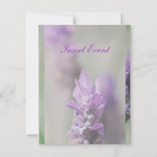 Paarse lavendel | Personaliseren Kaart (Achterkant)