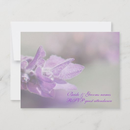 Paarse lavendel | Personaliseren RSVP Kaartje (Achterkant)