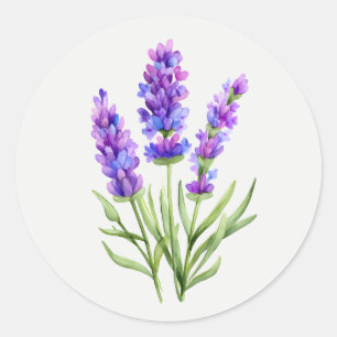 Paarse lavendel tuin bloem bloemschilderkunst ronde sticker