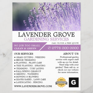Paarse lavendel, tuinbouwdienst, tuinbouwkundige flyer