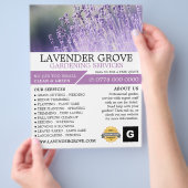 Paarse lavendel, tuinbouwdienst, tuinbouwkundige flyer (Hand)