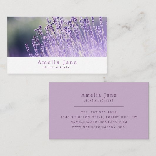Paarse lavendel, tuinman, tuinbouwkundige visitekaartje (Voorkant / Achterkant)