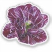 Paarse Lavendel Tulp Bloem Sticker (Voorkant)