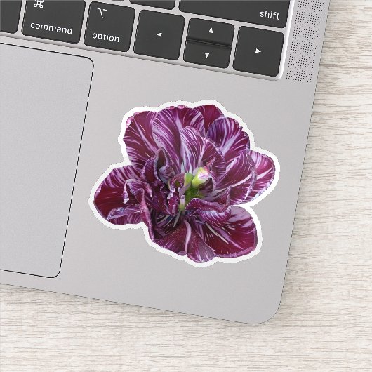 Paarse Lavendel Tulp Bloem Sticker (Detail)