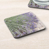 Paarse lavender Blooms Floral Bier Onderzetter (Linkerzijde)