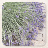 Paarse lavender Blooms Floral Kartonnen Onderzetters (Voorkant)