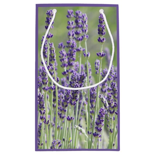 Paarse lavender Blooms Floral Klein Cadeauzakje (Achterkant)