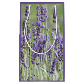 Paarse lavender Blooms Floral Klein Cadeauzakje (Voorkant)