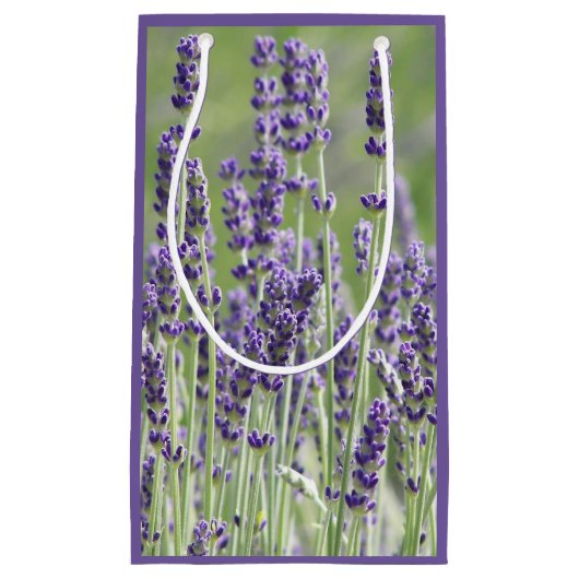 Paarse lavender Blooms Floral Klein Cadeauzakje (Voorkant)