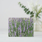 Paarse lavender Delight Briefkaart (Staand voorkant)