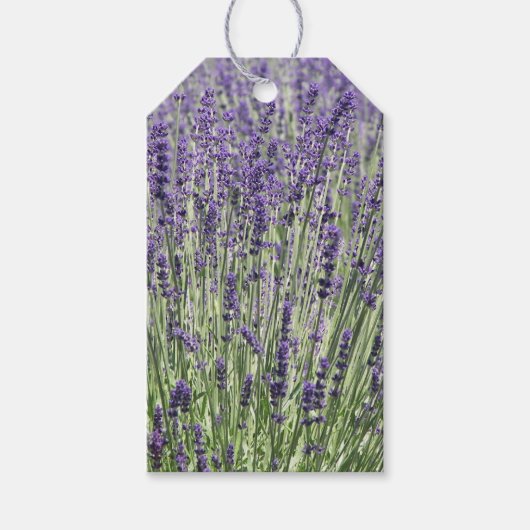 Paarse Lavender Fields Floral Cadeaulabel (Voorkant)