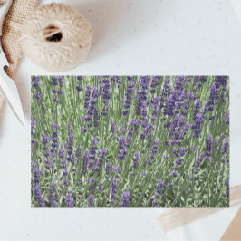 Paarse Lavender Fields Floral Tissuepapier