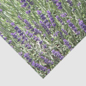 Paarse Lavender Fields Floral Tissuepapier (Detail)