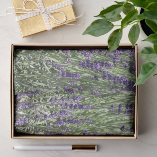 Paarse Lavender Fields Floral Tissuepapier (Geschenk)