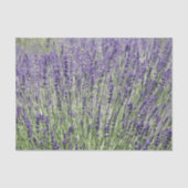 Paarse Lavender Fields Floral Tissuepapier (Voorkant)