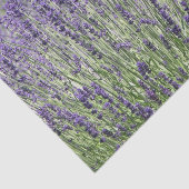 Paarse Lavender Fields Floral Tissuepapier (Detail)