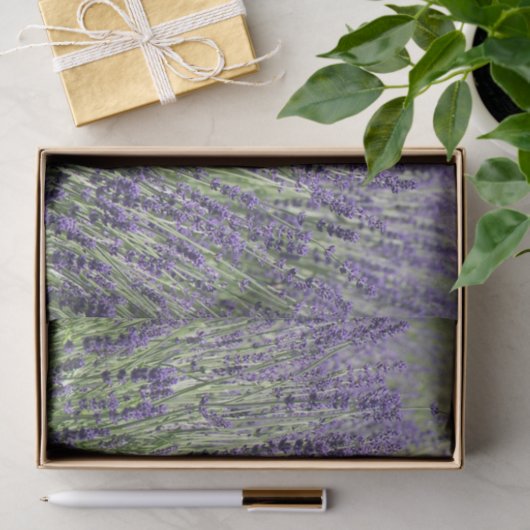 Paarse Lavender Fields Floral Tissuepapier (Geschenk)