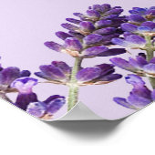 Paarse lavender Floral Sprigs Weddenschap Poster (Hoek)