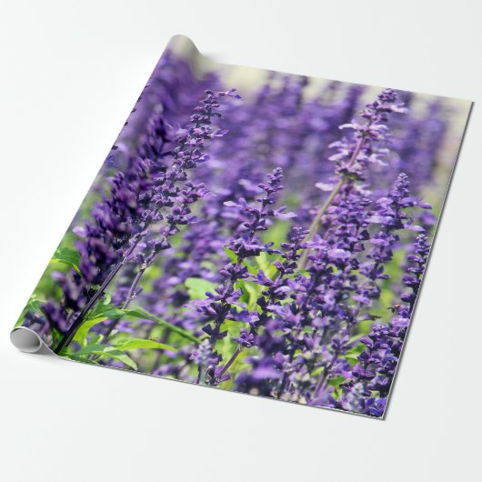 Paarse lavender Flowers Cadeaupapier (Uitgerold)