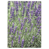 Paarse lavender Flowers Floral Klembord (Achterkant)