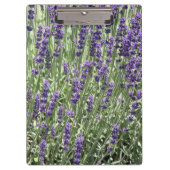 Paarse lavender Flowers Floral Klembord (Voorkant)