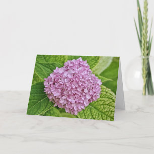 Paarse lavender Hydrangea Puff Note Kaart