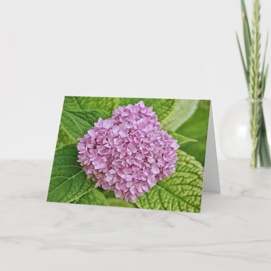 Paarse lavender Hydrangea Puff Note Kaart (Voorkant)