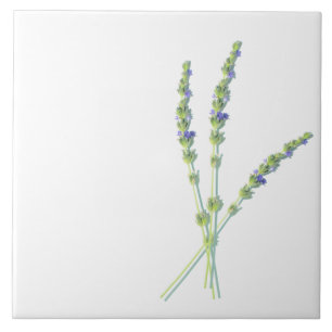 Paarse lavenderbloemen tegeltje