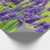 Paarse lavenderventiel cadeaupapier (Hoek)