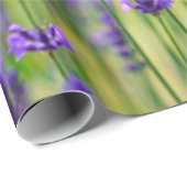 Paarse lavenderventiel cadeaupapier (Rol Hoek)