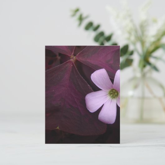 Paarse Leaf Shamrock Flower Briefkaart (Staand voorkant)