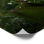 Paarse lelie in een vijver poster (Hoek)