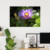Paarse lelie in een vijver poster (Thuiskantoor)
