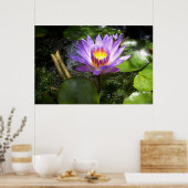 Paarse lelie in een vijver poster (Keuken)