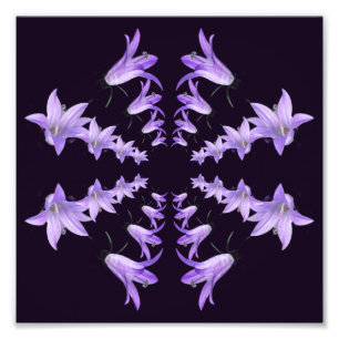 Paarse leliebloemen spiegelen Abstracte kunst 8x8 Foto Afdruk
