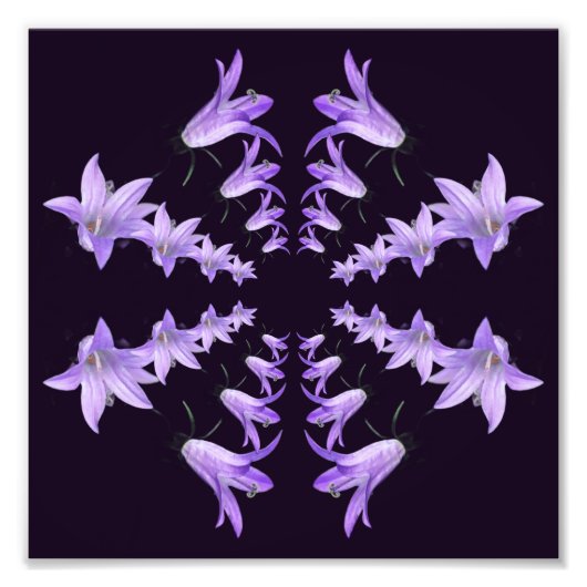 Paarse leliebloemen spiegelen Abstracte kunst 8x8 Foto Afdruk (Voorkant)