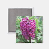 paarse lente bloem magneet (Voorkant / Achterkant)