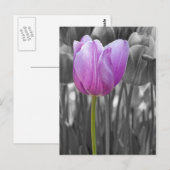 Paarse lente op zwart en wit briefkaart (Voorkant / Achterkant)