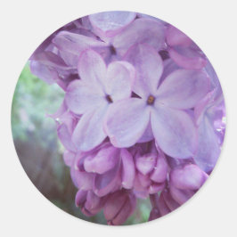 Paarse lente ronde sticker