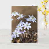 Paarse Lente Wildbloemen Denk aan jou Kaart (Gele Bloem)