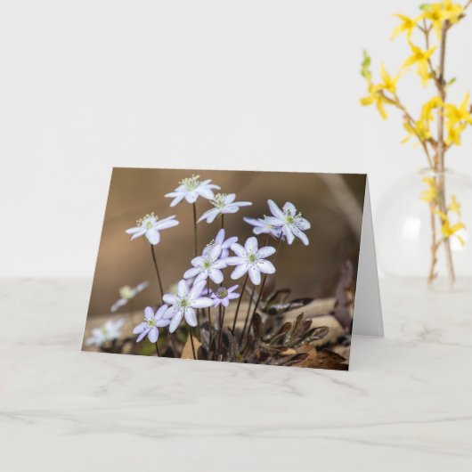 Paarse lente wilde bloemen Noteer Kaart (Gele Bloem)