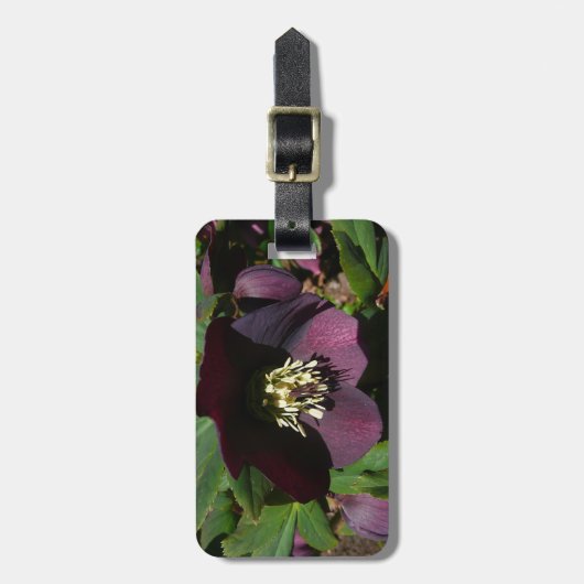 Paarse Lenten Roos Sneller Bagagelabel (Voorkant verticaal)