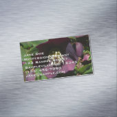 Paarse Lenten Roos Sneller Magnetisch Visitekaartje (Voorbeeld)