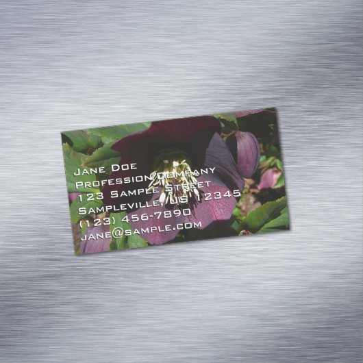 Paarse Lenten Roos Sneller Magnetisch Visitekaartje (Voorbeeld)