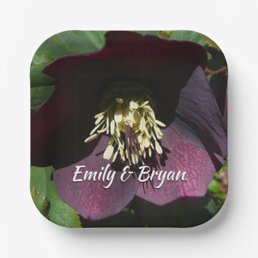 Paarse Lenten Roos Sneller Papieren Bordje (Voorkant)