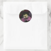 Paarse Lenten Roos Sneller Ronde Sticker (Tas)