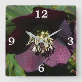 Paarse Lenten Roos Sneller Vierkante Klok (Voorkant)